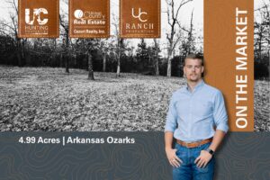 Property photo for land for sale in Fulton County Arkansas