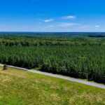 Property photo for land for sale in Halifax County Virginia