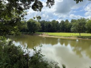 Property photo for land for sale in Hardin County Tennessee