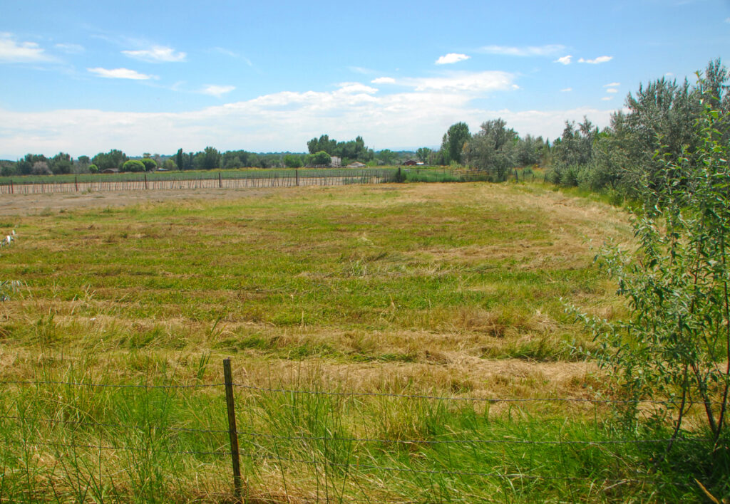Property photo for land for sale in Delta County Colorado
