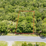 Property photo for land for sale in Levy County Florida