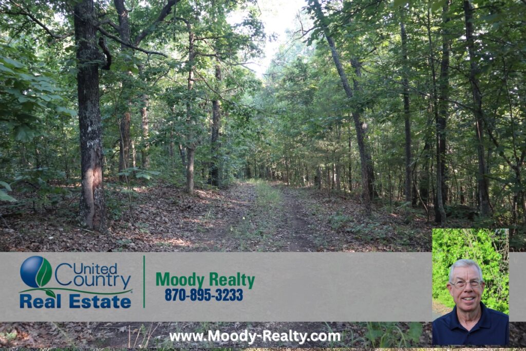 Property photo for land for sale in Fulton County Arkansas