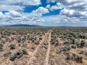 Property photo for land for sale in Harney County Oregon