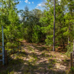 Property photo for land for sale in Clay County Florida