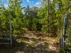 Property photo for land for sale in Clay County Florida