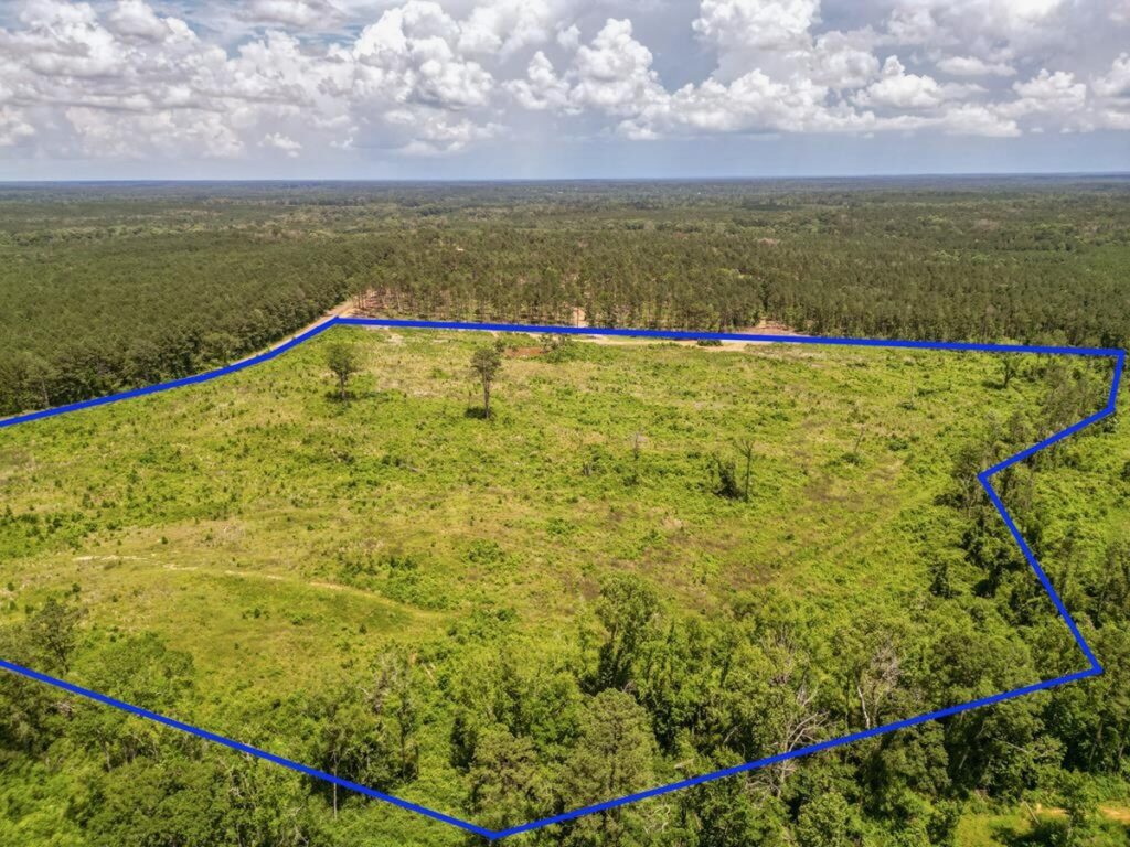 Property photo for land for sale in Amite County Mississippi