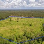 Property photo for land for sale in Amite County Mississippi