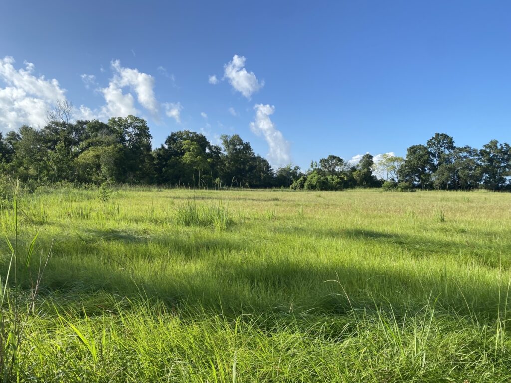 Property photo for land for sale in Vermilion County Louisiana