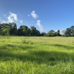 Property photo for land for sale in Vermilion County Louisiana