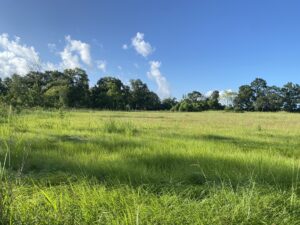 Property photo for land for sale in Vermilion County Louisiana