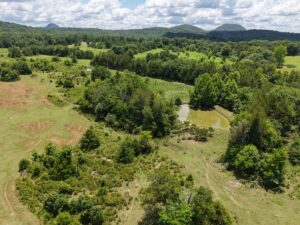 Property photo for land for sale in Izard County Arkansas