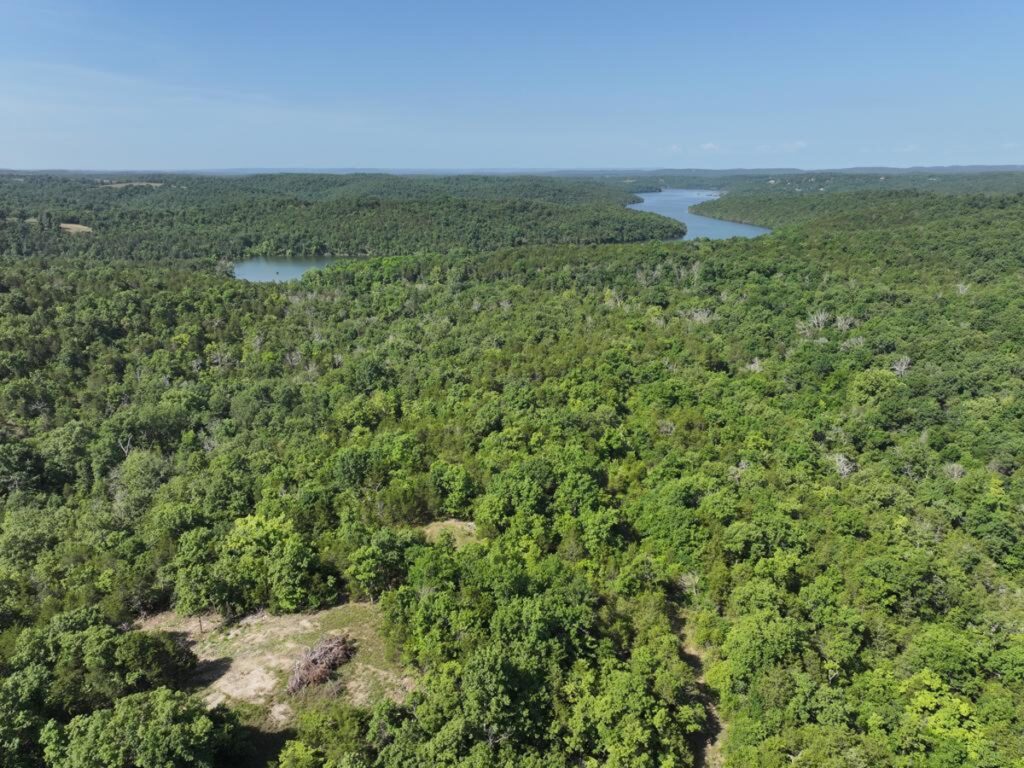 Property photo for land for sale in Ozark County Missouri