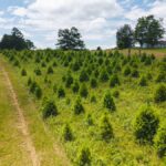 Property photo for land for sale in  County Virginia