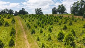 Property photo for land for sale in  County Virginia