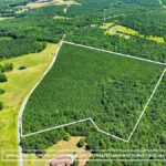 Property photo for land for sale in Halifax County Virginia