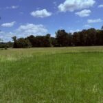 Property photo for land for sale in Bowie County Texas