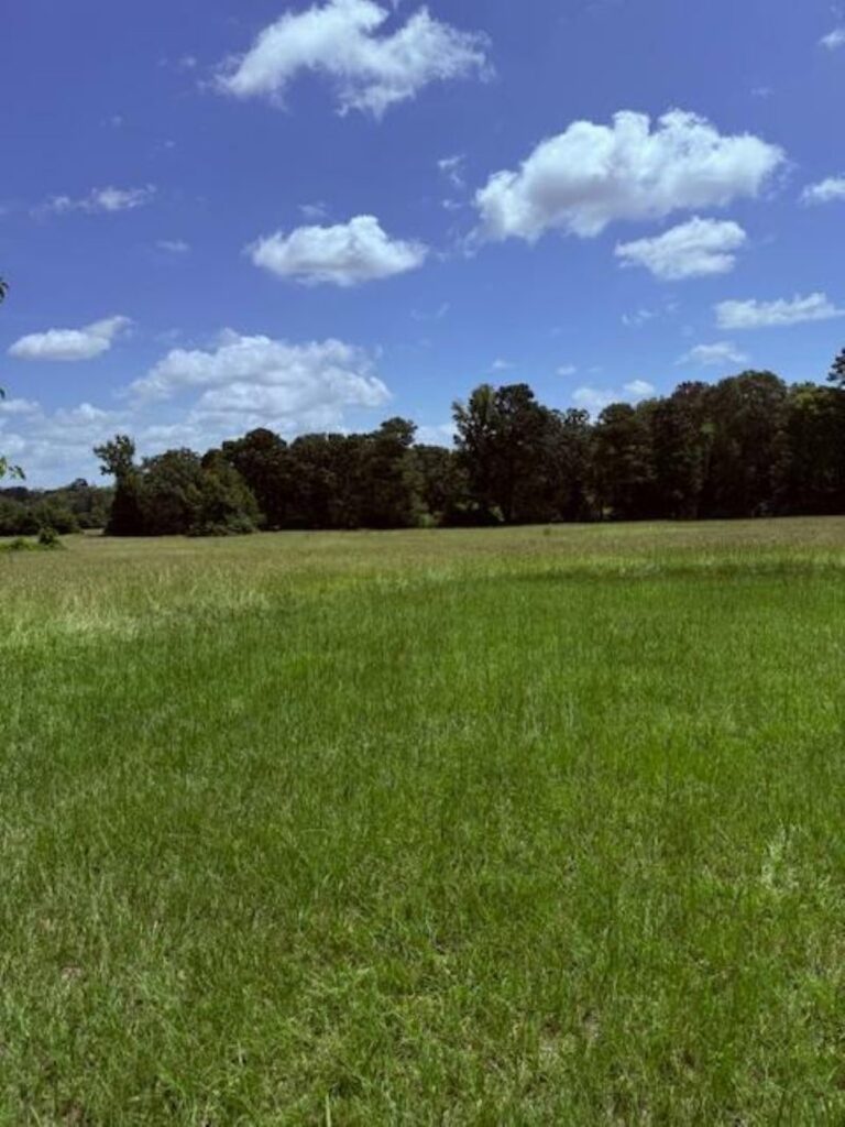 Property photo for land for sale in Bowie County Texas