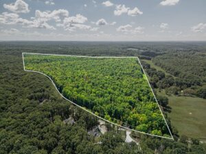 Property photo for land for sale in Williamson County Tennessee