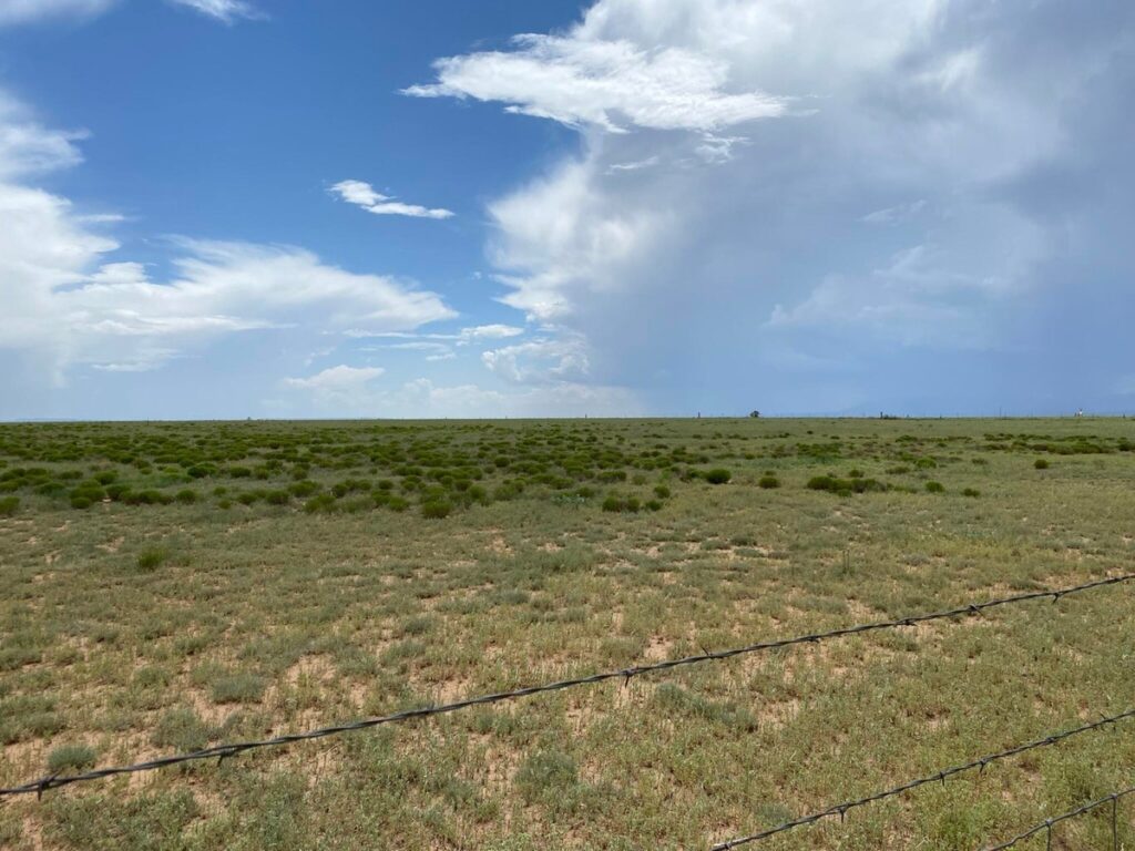 Property photo for land for sale in Torrance County New Mexico