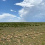 Property photo for land for sale in Torrance County New Mexico