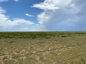 Property photo for land for sale in Torrance County New Mexico