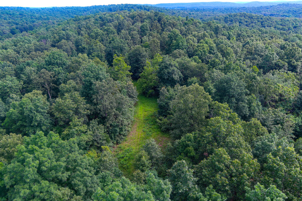 Property photo for land for sale in Ripley County Missouri