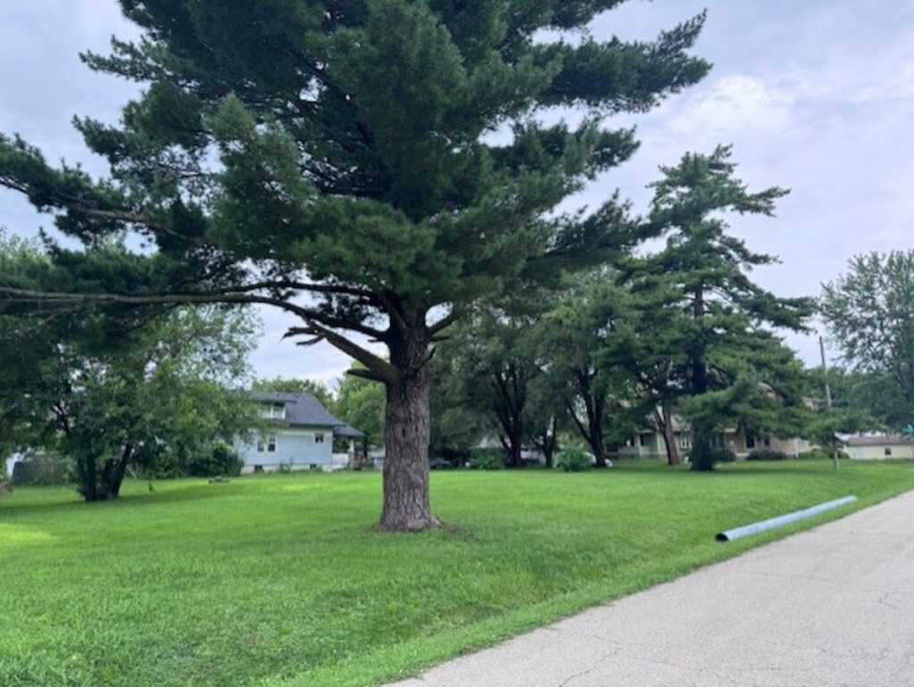 Property photo for land for sale in Clinton County Missouri