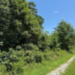 Property photo for land for sale in Mecklenburg County Virginia