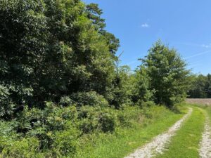 Property photo for land for sale in Mecklenburg County Virginia