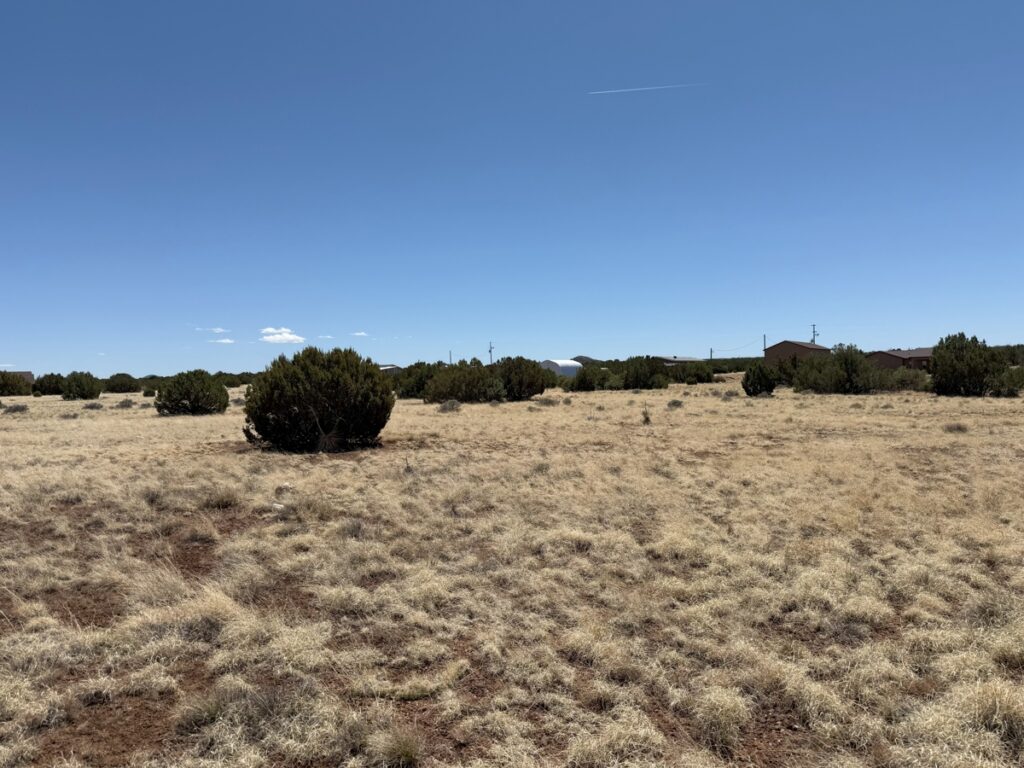 Property photo for land for sale in Navajo County Arizona