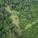 Property photo for land for sale in Claiborne County Mississippi