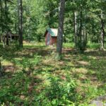 Property photo for land for sale in Carter County Missouri