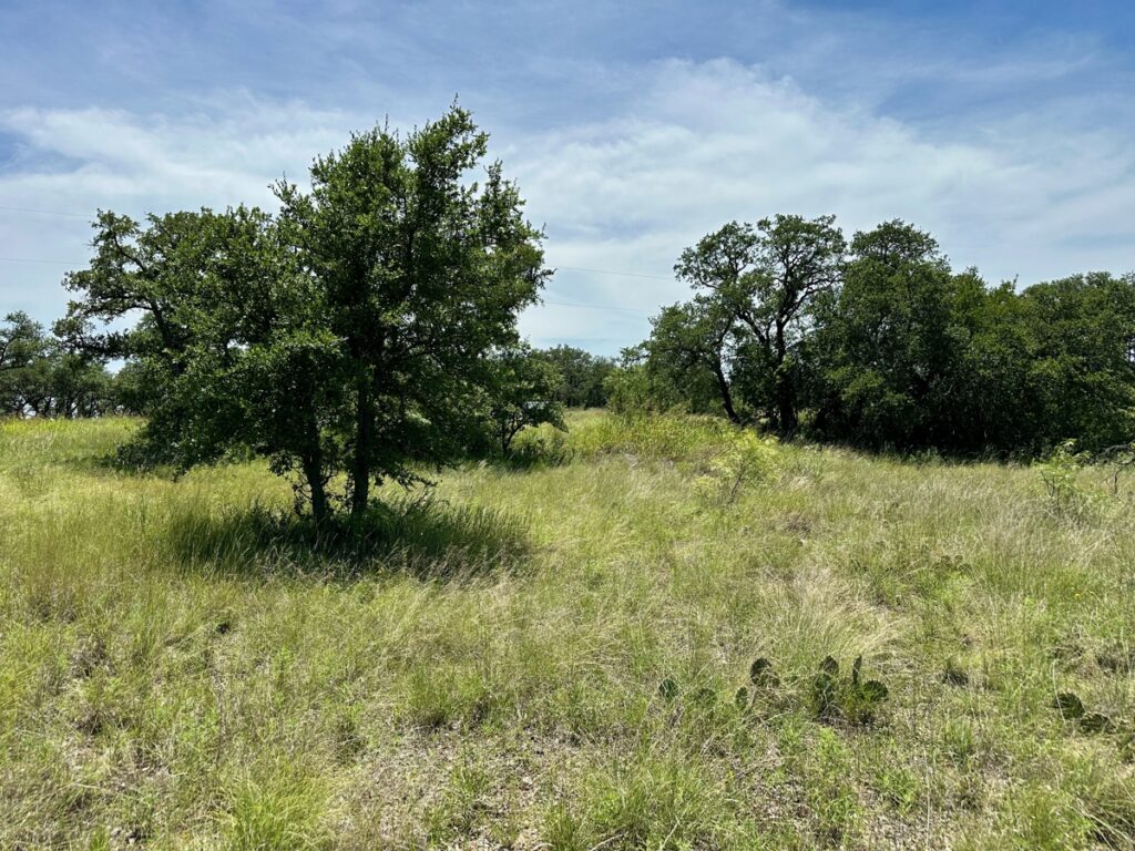 Property photo for land for sale in Brown County Texas