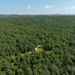 Property photo for land for sale in Ozark County Missouri
