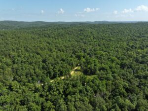 Property photo for land for sale in Ozark County Missouri