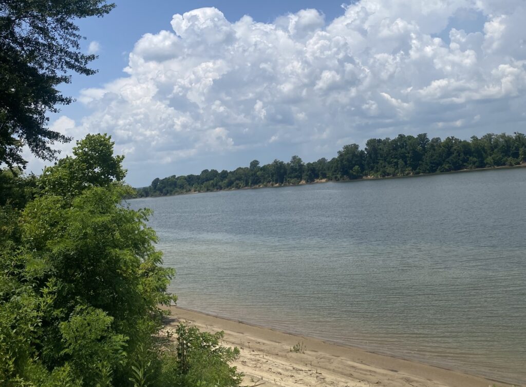 Property photo for land for sale in Hardin County Tennessee