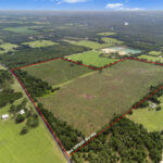 Property photo for land for sale in Gilchrist County Florida