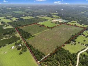 Property photo for land for sale in Gilchrist County Florida
