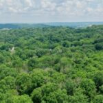 Property photo for land for sale in Lincoln County Tennessee