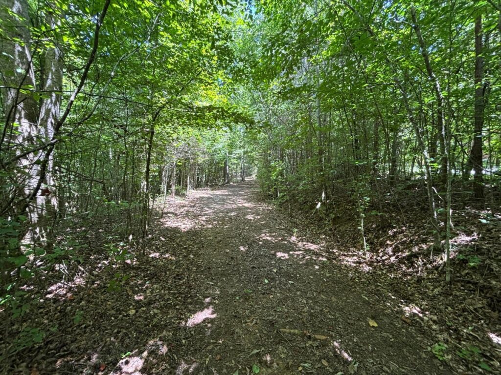 Property photo for land for sale in Marion County Tennessee