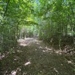 Property photo for land for sale in Marion County Tennessee