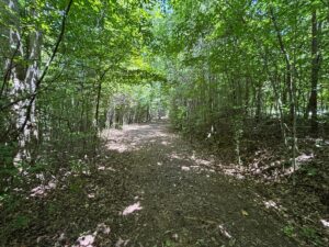 Property photo for land for sale in Marion County Tennessee