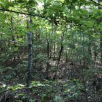 Property photo for land for sale in Cherokee County Texas
