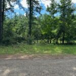 Property photo for land for sale in Harrison County Texas