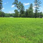 Property photo for land for sale in Lewis County Tennessee