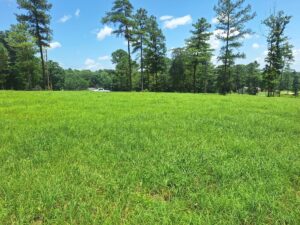 Property photo for land for sale in Lewis County Tennessee