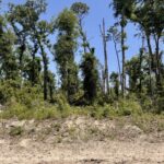 Property photo for land for sale in Hamilton County Florida