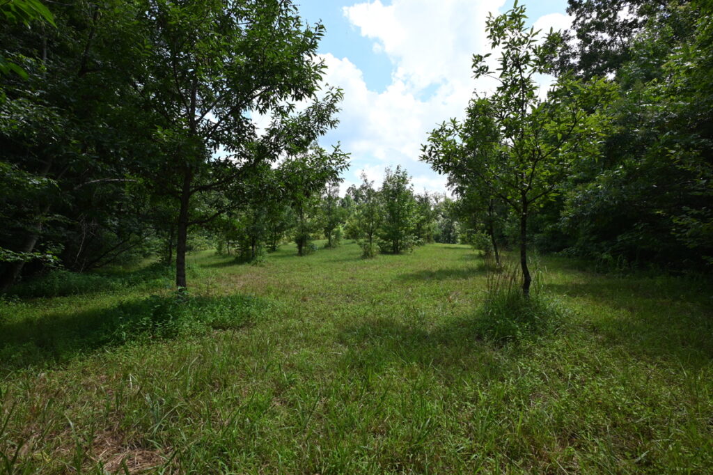 Property photo for land for sale in Decatur County Tennessee