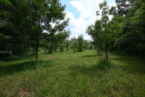 Property photo for land for sale in Decatur County Tennessee