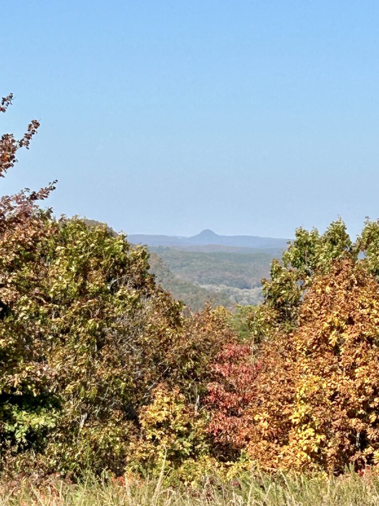 Property photo for land for sale in County Arkansas